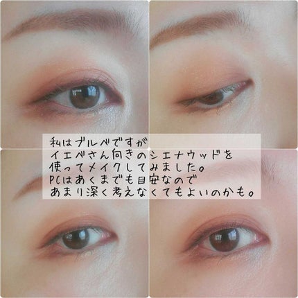 シルキースフレアイズ(マットタイプ)/キャンメイク/アイシャドウパレットを使ったクチコミ(5枚目)