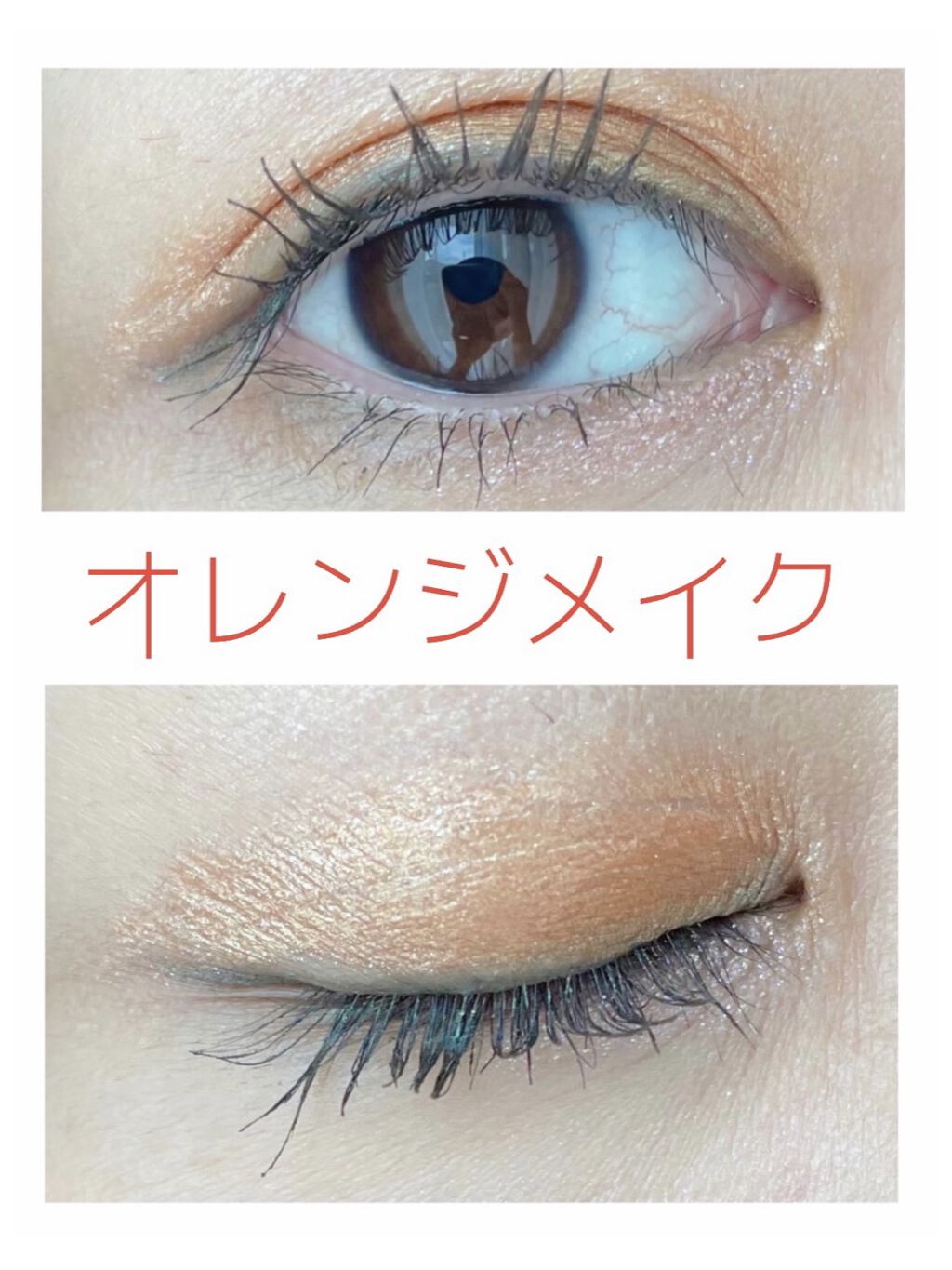 UR GLAM LUXE　12 COLORS EYESHADOW PALLET 05/U R GLAM/アイシャドウパレットを使ったクチコミ（1枚目）