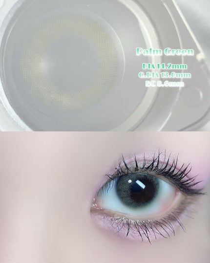 perse 1day パームグリーン/perse/ワンデー(1DAY)カラコンを使ったクチコミ(2枚目)