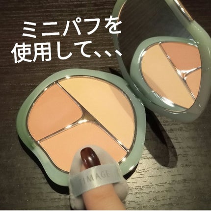 TIMAGE 3色チークパレット/TIMAGE/パウダーチークを使ったクチコミ(5枚目)