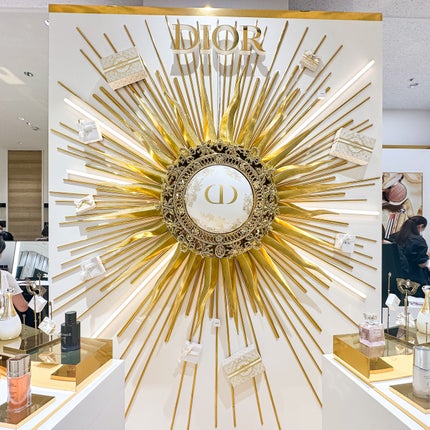 【旧】ディオールショウ サンク クルール(クリスマス コレクション 2024 限定品)/Dior/アイシャドウを使ったクチコミ(6枚目)