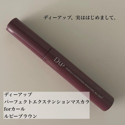パーフェクトエクステンション マスカラ for カール/D-UP/マスカラを使ったクチコミ(4枚目)