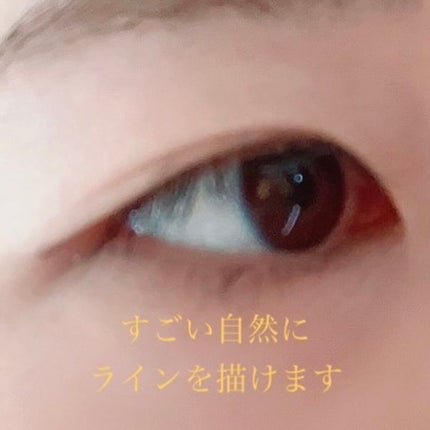 シルキーリキッドアイライナーWP/D-UP/リキッドアイライナーを使ったクチコミ(3枚目)
