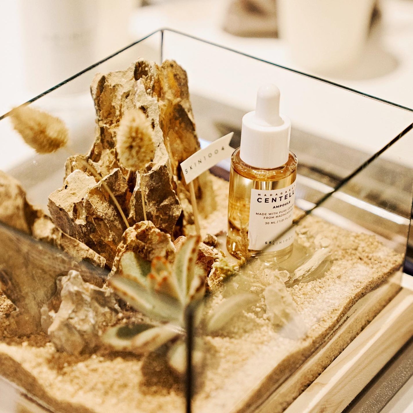 èðéåœã¹ãã³ã±ã¢å¥œã on LIPS ããã€ã絶察è¡ã£ãŠã¿ãã/SKIN1004FLAGSHIPSTO..ãïŒ5æç®ïŒ