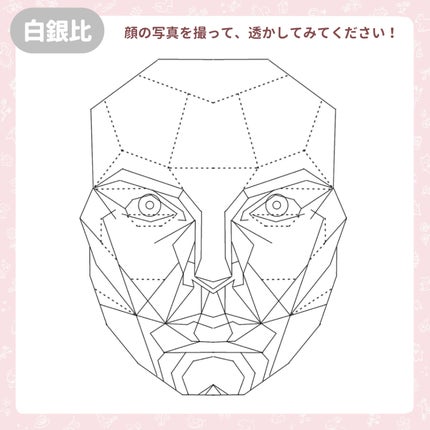 シェーディングパウダー/キャンメイク/シェーディングを使ったクチコミ(4枚目)