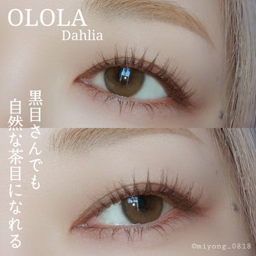 ダリアブラウンマンスリー (DAHLIA BROWN monthly)/OLOLA/１ヶ月（１MONTH）カラコンを使ったクチコミ（2枚目）