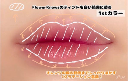 メルティールミナスルージュ/キャンメイク/口紅を使ったクチコミ(4枚目)
