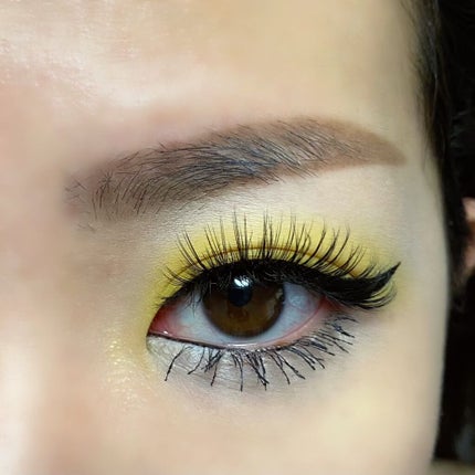 大英博物館 エジプトシリーズ アイシャドウパレット/ZEESEA/アイシャドウパレットを使ったクチコミ(2枚目)