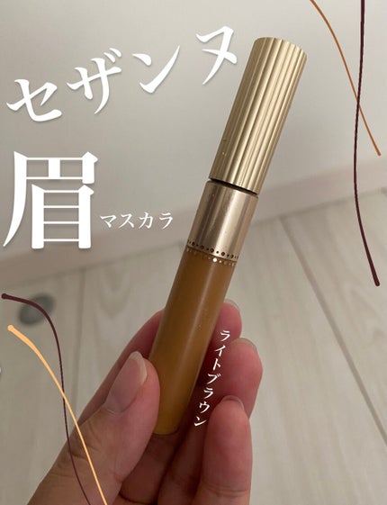 アイブロウマスカラ/CEZANNE/眉マスカラを使ったクチコミ(1枚目)