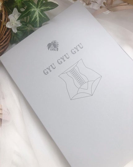 骨盤ショーツ ギュギュギュ/モンステラ/その他を使ったクチコミ(6枚目)