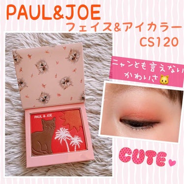 フェイス ＆ アイカラー CS/PAUL & JOE BEAUTE/アイシャドウパレットを使ったクチコミ（1枚目）