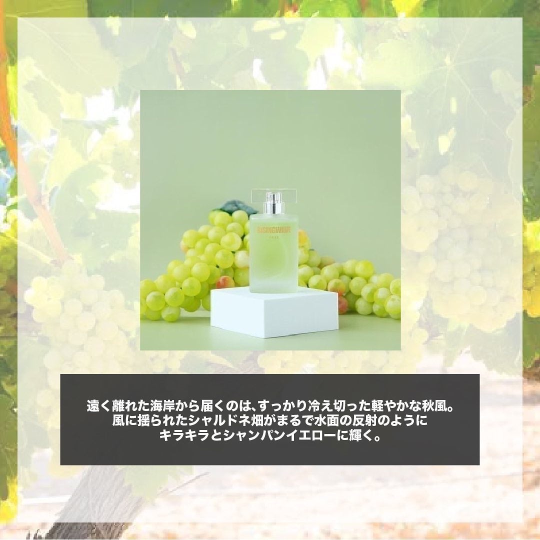 エスログ┊1日1分のモテ香水紹介 on LIPS 「.『数量限定秋の香り』🌳製品情報🌳フィッツコーポレーションライ..」(2枚目)