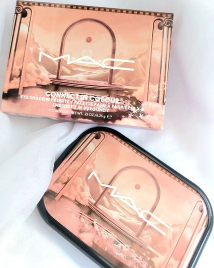 コネクト イン カラー アイシャドウ パレット × 6/M・A・C/アイシャドウパレットを使ったクチコミ(1枚目)