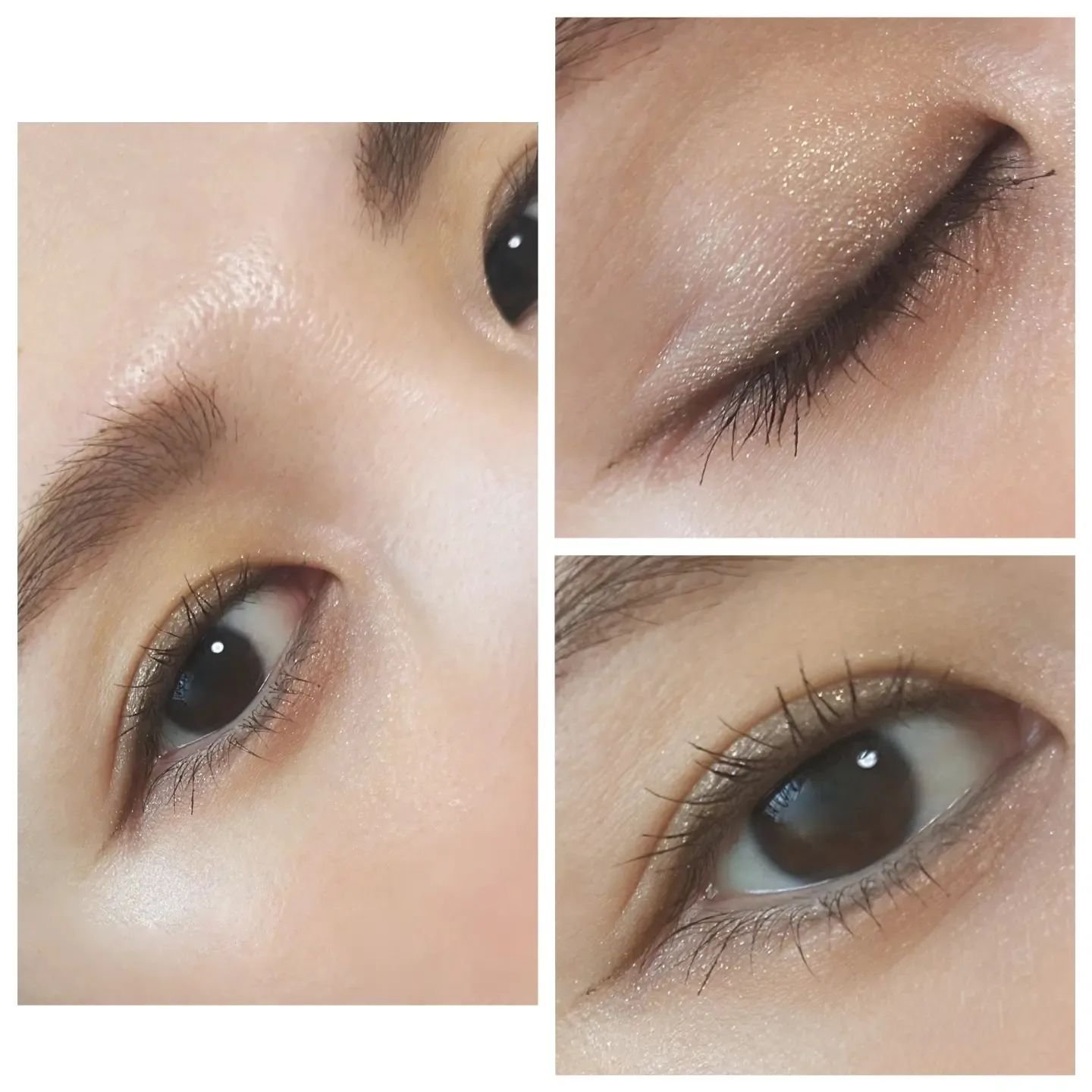 シャドーカスタマイズ/MAJOLICA MAJORCA/単色アイシャドウを使ったクチコミ（2枚目）