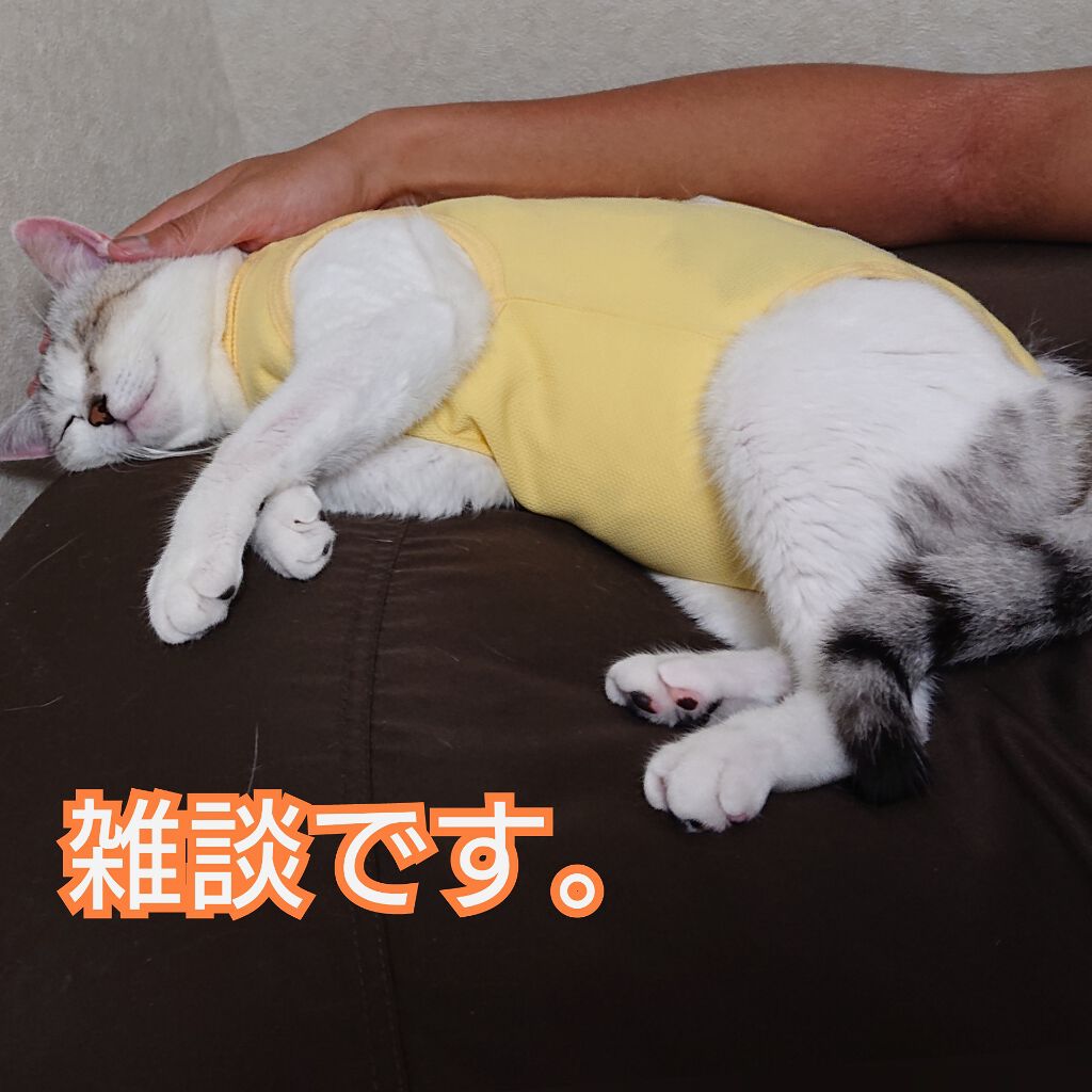 自己紹介/雑談/その他を使ったクチコミ（1枚目）