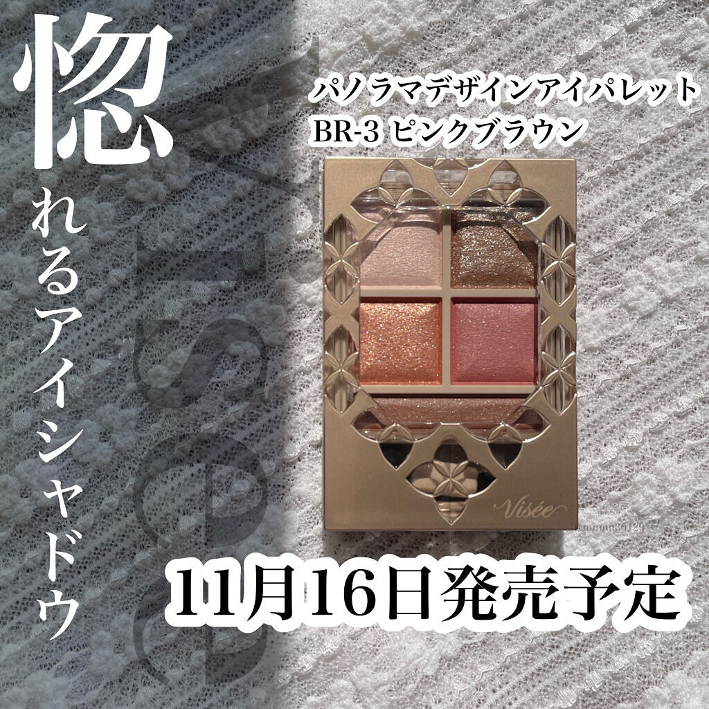パノラマデザイン アイパレット/Visée/アイシャドウパレットを使ったクチコミ（1枚目）