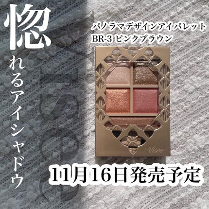 パノラマデザイン アイパレット/Visée/アイシャドウパレットを使ったクチコミ(1枚目)