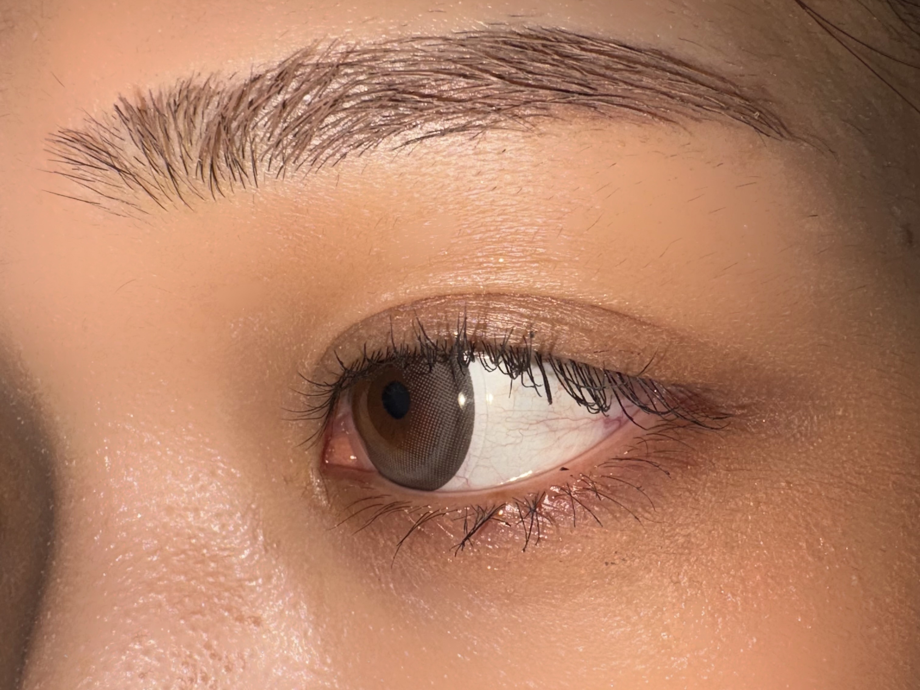 エバーカラーマンスリー/エバーカラー/１ヶ月（１MONTH）カラコンを使ったクチコミ（3枚目）