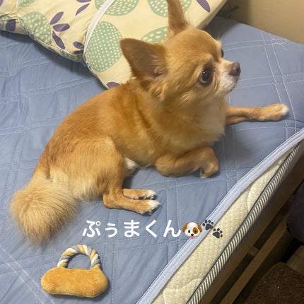 ピュアクレンジング クリア/SINN PURETÉ/クレンジングジェルを使ったクチコミ(4枚目)