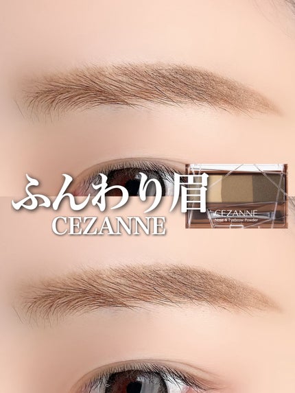 ノーズ&アイブロウパウダー/CEZANNE/パウダーアイブロウを使ったクチコミ(1枚目)