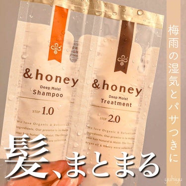 ディープモイスト シャンプー1.0／ヘアトリートメント2.0/&honey/シャンプー・コンディショナーを使ったクチコミ（1枚目）