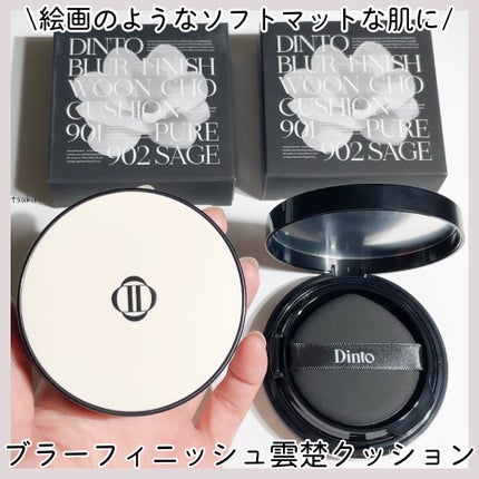ブラーフィニッシュ雲楚クッション/Dinto/クッションファンデーションを使ったクチコミ(1枚目)