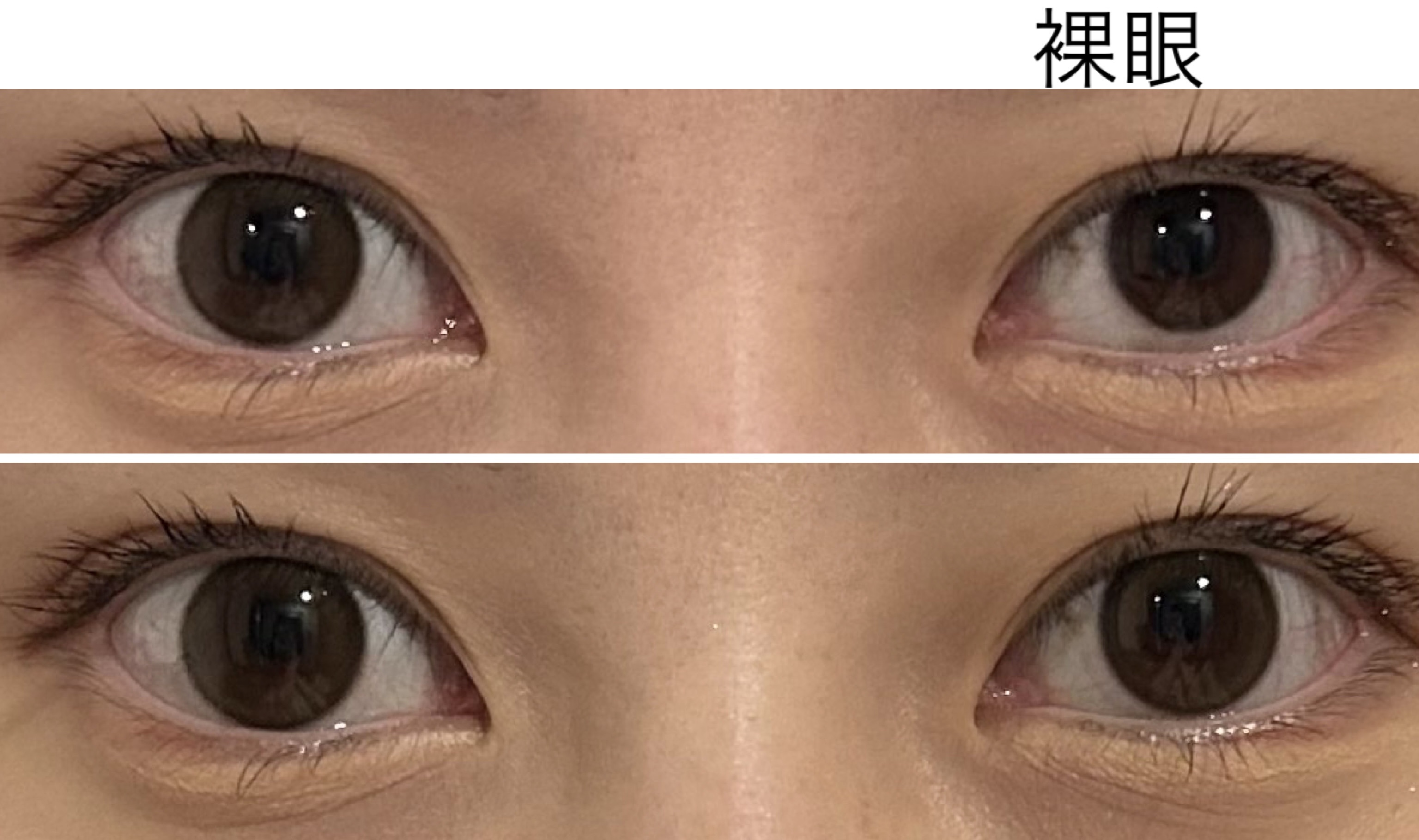 feliamo 1day/feliamo/ワンデー（１DAY）カラコンを使ったクチコミ（3枚目）