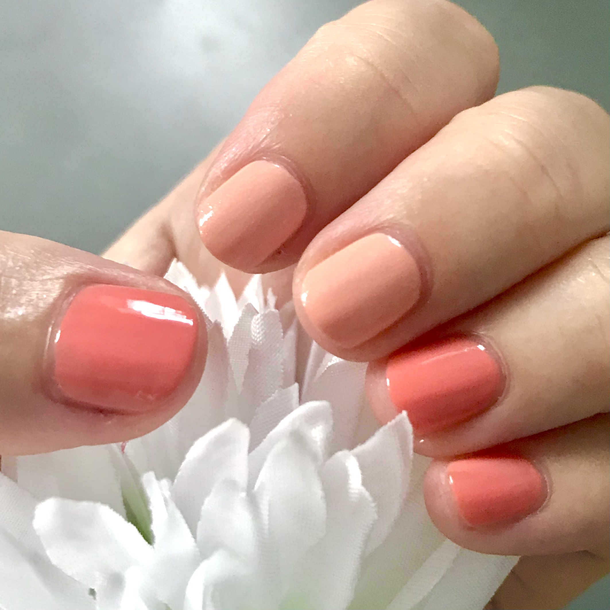 CTM スイートピクニックネイル/キャンドゥ/マニキュアを使ったクチコミ（1枚目）