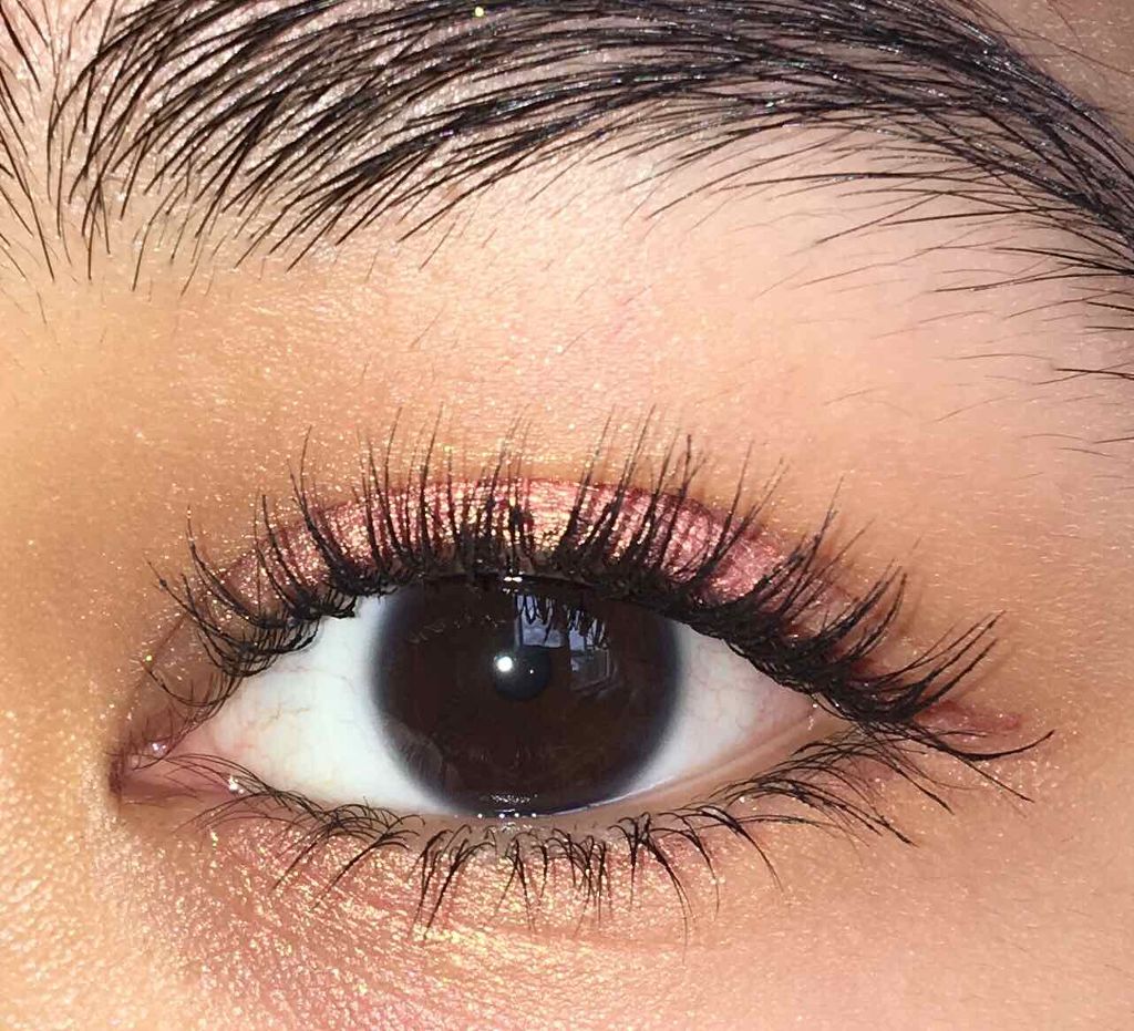 Pressed Powder Shadow /ColourPop/アイシャドウパレットを使ったクチコミ（3枚目）