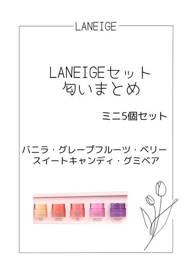 リップスリーピングマスク/LANEIGE/リップケア・リップクリームを使ったクチコミ（1枚目）