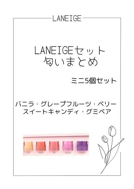 リップスリーピングマスク/LANEIGE/リップバームを使ったクチコミ(1枚目)