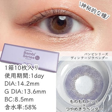 Angelcolor Bambi Series Vintage 1day/AngelColor/ワンデー（１DAY）カラコンを使ったクチコミ（2枚目）