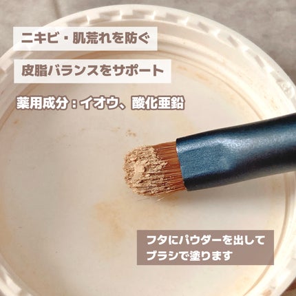 薬用コンシーラー アクネプロテクター/ONLY MINERALS/パウダーコンシーラーを使ったクチコミ(5枚目)