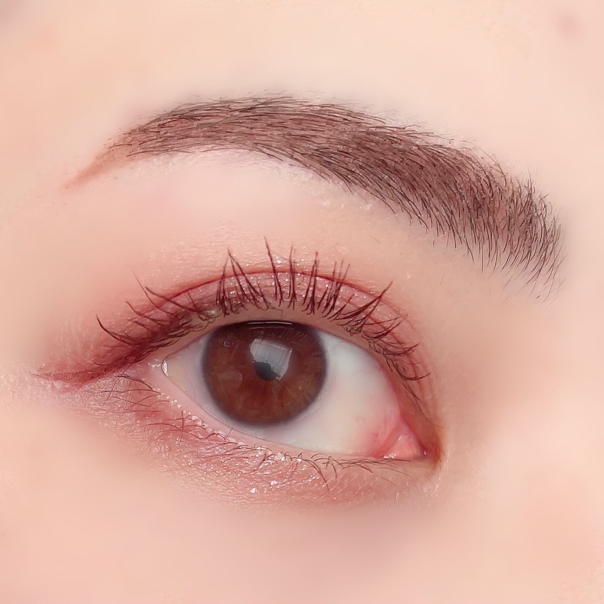 プティパレットアイズ(マットタイプ)/キャンメイク/パウダーアイシャドウを使ったクチコミ(6枚目)