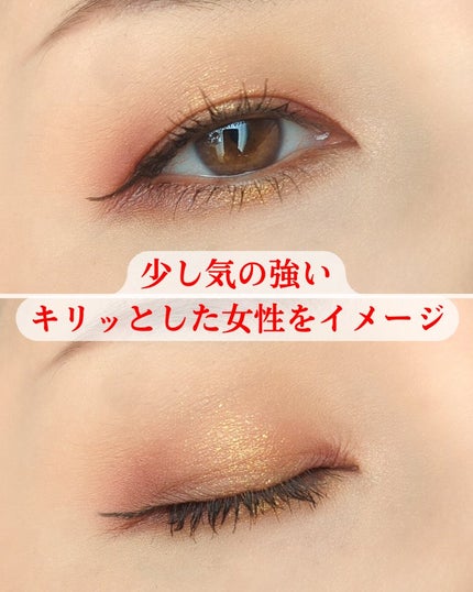 エクスプローラ12色 動物アイシャドウパレット/PERFECT DIARY/アイシャドウパレットを使ったクチコミ(3枚目)