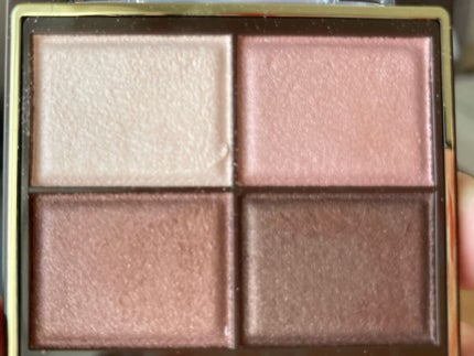 スキニーリッチシャドウ/excel/アイシャドウパレットを使ったクチコミ(2枚目)