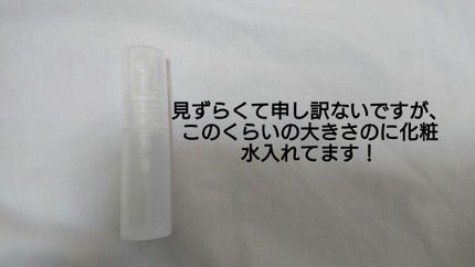 ムービングラバー ワイルドシェイク/ギャツビー/ヘアワックス・クリームを使ったクチコミ(6枚目)
