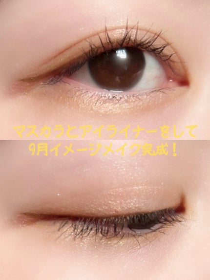 リアルクローズシャドウ/excel/アイシャドウパレットを使ったクチコミ(8枚目)