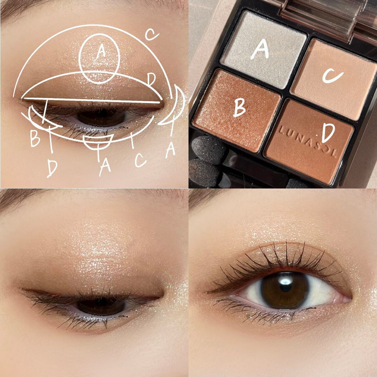 アイカラーレーション/LUNASOL/アイシャドウパレットを使ったクチコミ(3枚目)