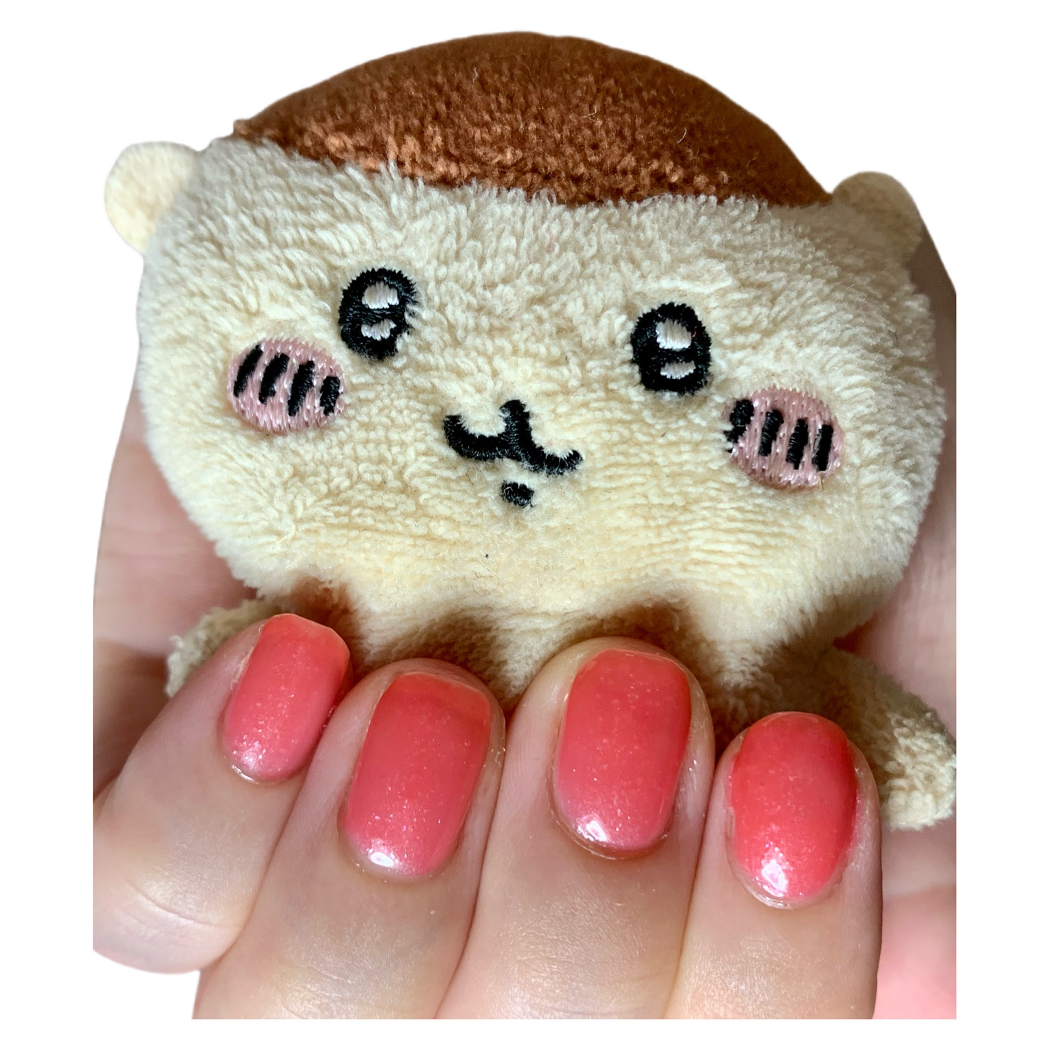 ネイルホリック 24_7 リミテッドカラー Tropical Cocktails/ネイルホリック/マニキュアを使ったクチコミ（1枚目）