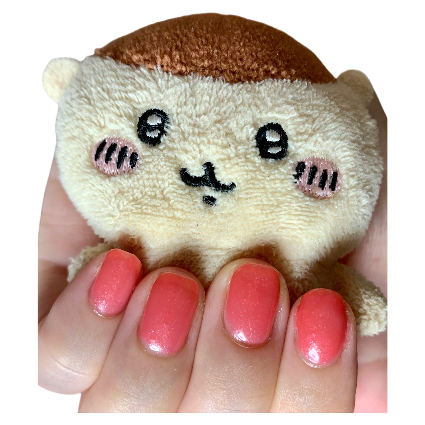 ネイルホリック 24_7 リミテッドカラー Tropical Cocktails/ネイルホリック/マニキュアを使ったクチコミ(1枚目)