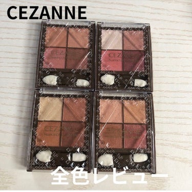 ニュアンスオンアイシャドウ/CEZANNE/アイシャドウパレットを使ったクチコミ（1枚目）