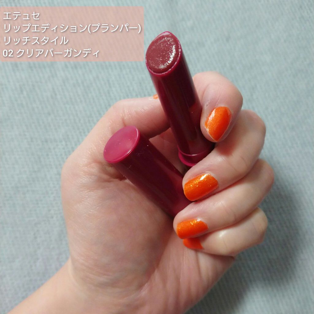 エテュセ リップエディション（プランパー）リッチスタイル/ヘルシースタイル/ettusais/リップケアを使ったクチコミ（1枚目）