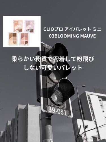 プロ アイパレット ミニ/CLIO/アイシャドウパレットを使ったクチコミ（3枚目）