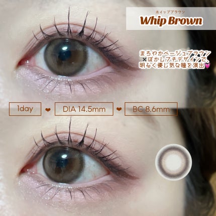 FALOOM 1DAY/FALOOM/ワンデー(1DAY)カラコンを使ったクチコミ(5枚目)