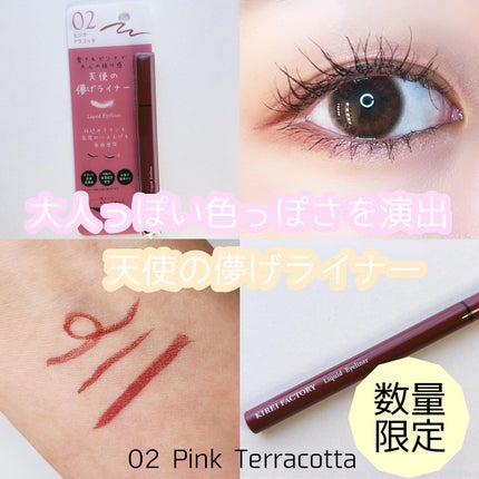 キレイファクトリー リキッドアイライナー/KIREI FACTORY/リキッドアイライナーを使ったクチコミ(1枚目)