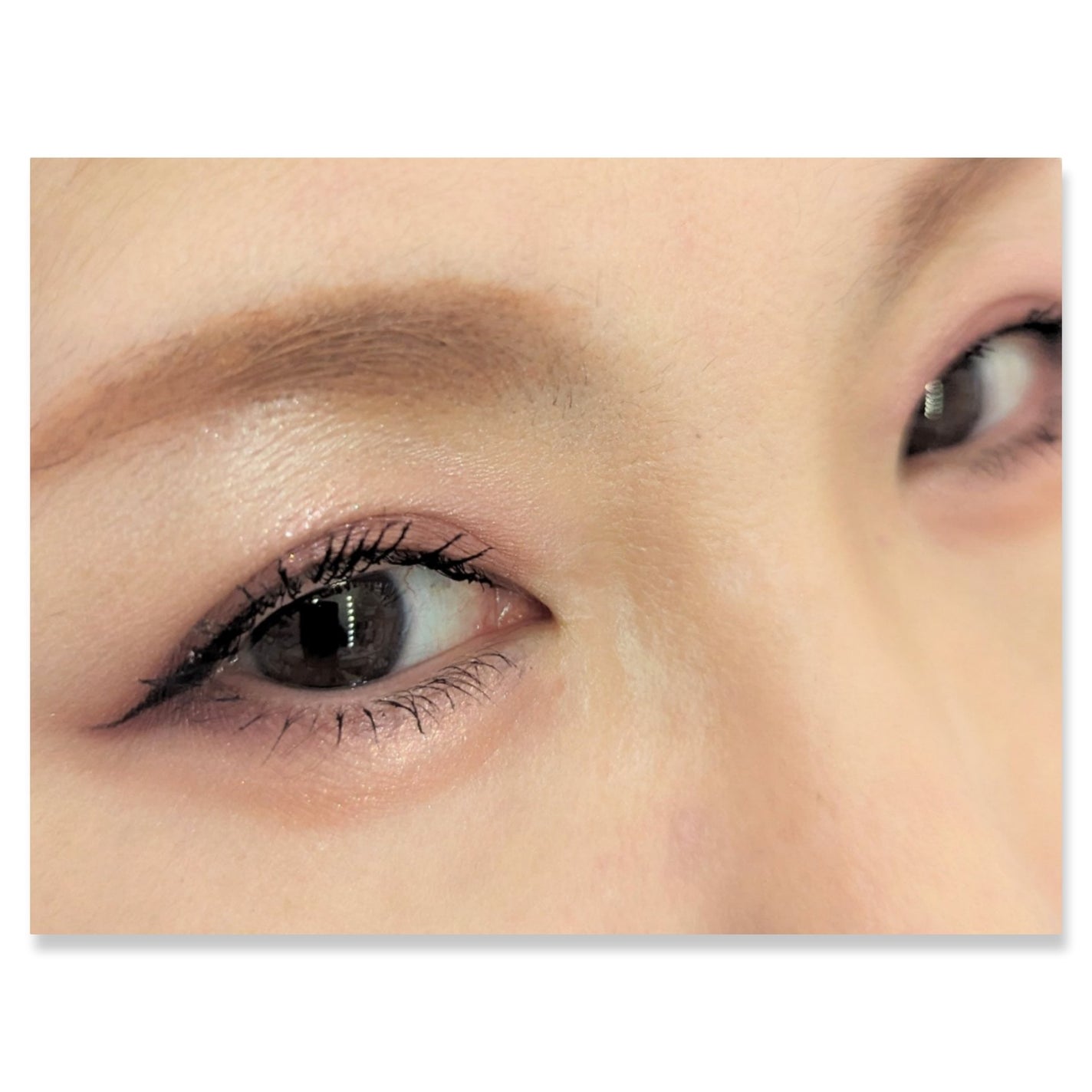 ジュエリーシャドウベール/キャンメイク/アイシャドウパレットを使ったクチコミ(2枚目)