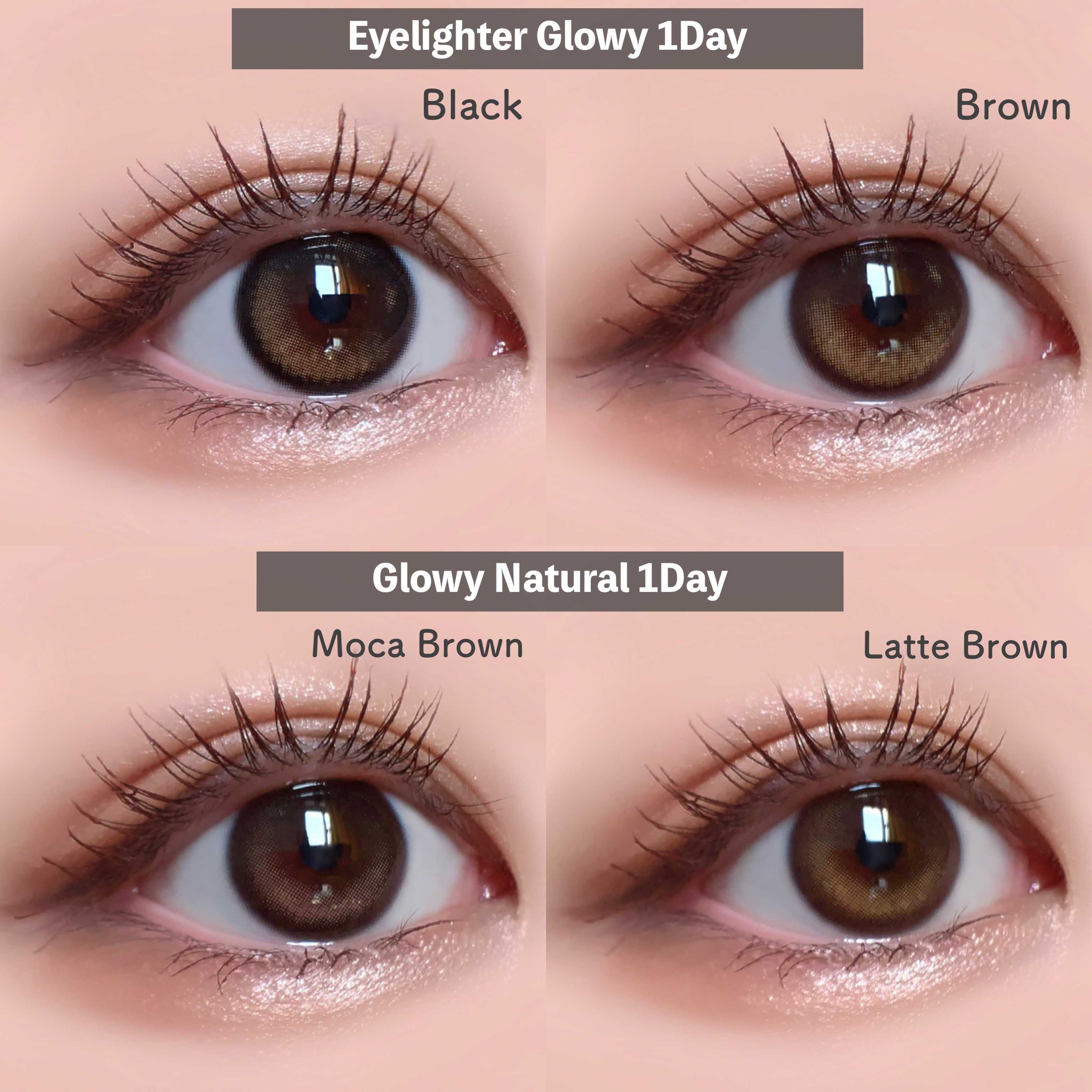 Glowy Natural 1Day/OLENS/カラーコンタクトレンズを使ったクチコミ（2枚目）