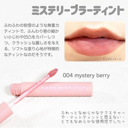 アイムミステリーブラーティント/i’m meme/リップティントを使ったクチコミ(2枚目)