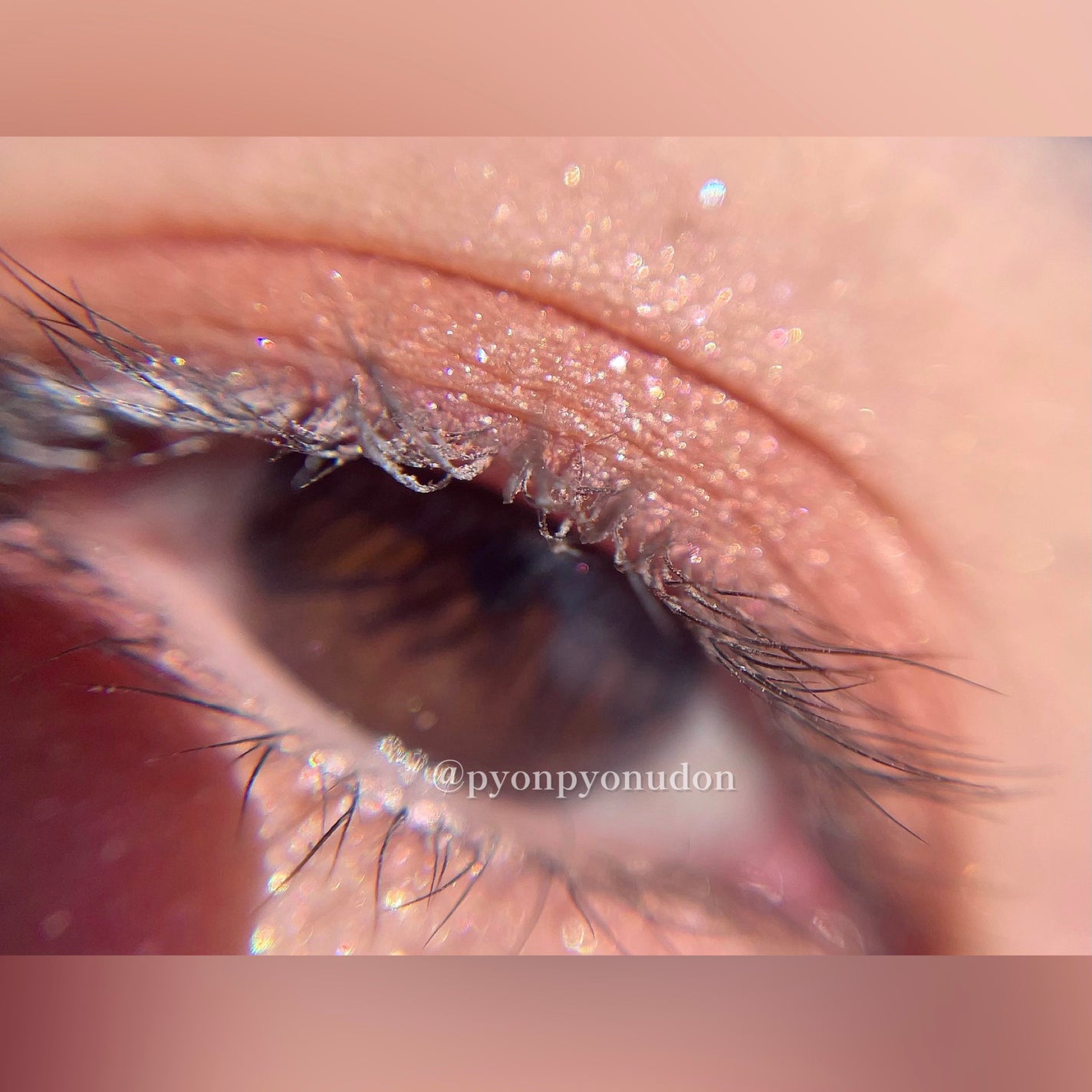 ジルスチュアート ブルームクチュール アイズ ジュエルドブーケ/JILL STUART/アイシャドウパレットを使ったクチコミ(5枚目)